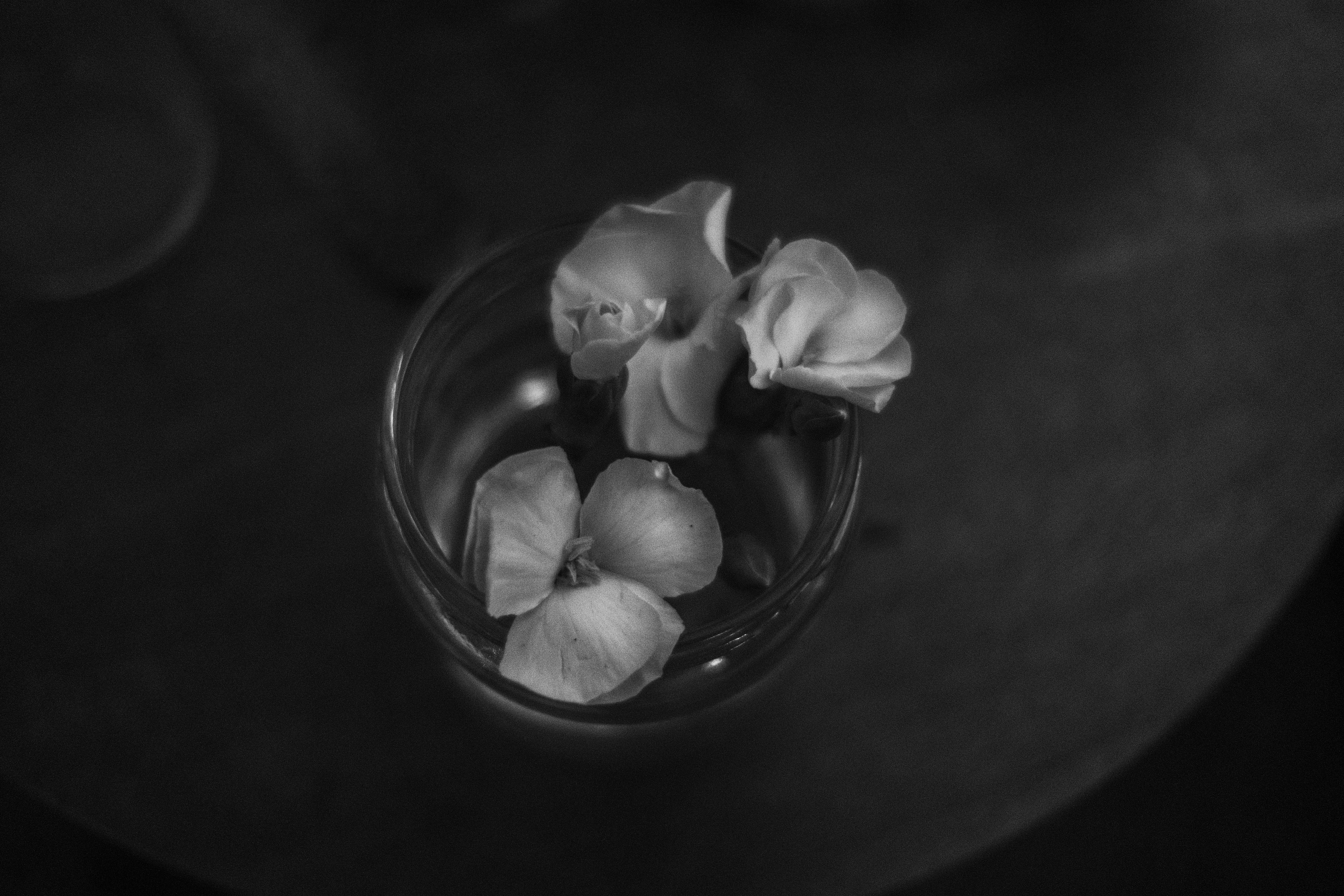 Noir et Soie luxury portrait placeholder